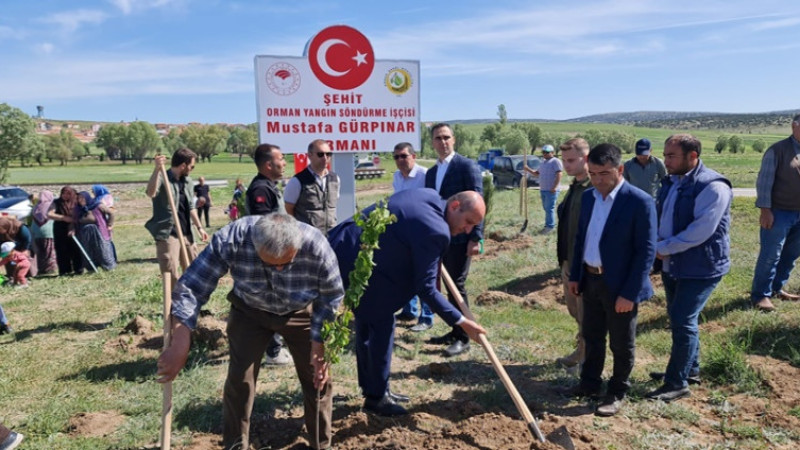 Orman Yangını Şehidi Mustafa Gürpınar adına hatıra ormanı oluşturuldu