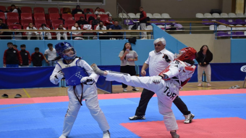 Taekwondo Analig İl Seçmeleri gerçekleştirildi